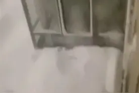 雪太大了！内蒙通辽市民晨起发现一楼“消失”，雪深破70年纪录图片