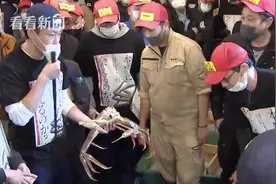 日本松叶蟹500万日元拍卖 旅馆买下免费招待住客图片