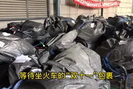 “双十一”包裹今天坐高铁出发了！实名登记、消杀、安检，各环节一样都不能少图片