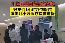 “9兄弟1小时凑齐50万医疗费”视频走红，拍摄者：帮朋友时感同身受图片