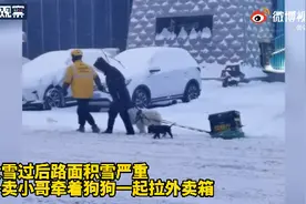 被迫营业！外卖小哥让狗狗雪地里拉外卖箱，网友：干回老本行了图片