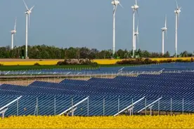 海上风电“内卷”：抢装潮下行业打起价格战，风机报价大幅降低图片