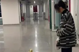 贪吃狗狗一路尾随进宿舍，女大学生为护食做“思想教育”图片