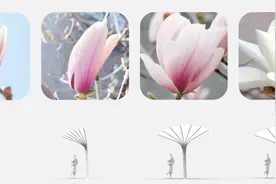 品质点亮城市，街角遇见温柔图片