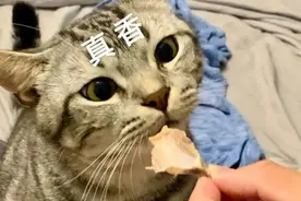 多款食品不合格，下架！召回图片