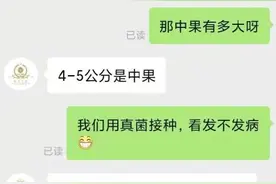 浙大博士生和蜜橘商家的聊天记录好暖心图片