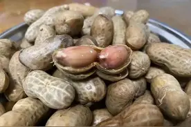 杭州阿姨刚买的花生，剥开一看发芽了？专家重要提醒图片