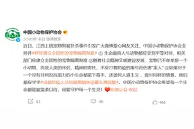 中国小动物保护协会吁建宠物隔离制度：不应打着防疫旗号去伤害图片