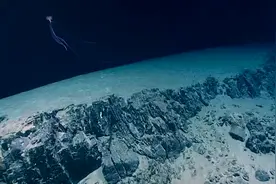 美国科学家在2800米深海拍到罕见“巨型鱿鱼”，最大可长到6米多视频封面