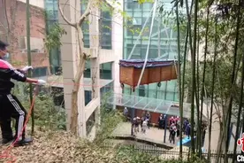 浙江杭州重达400斤鲨鱼搬家 沿途车主暖心为其让行图片