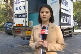 西湖边400斤的鲨鱼今天搬家，还专程从海南搬来“救兵”！需要几步？记者现场直击（内含福利）图片