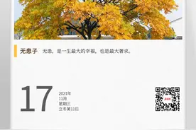 湖湘自然历丨秋色染树梢④脱发星人看过来，这里有一份“鬼见愁”牌洗发液图片