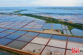 大河之北·河北人文地理解读｜商贸篇（下）：商帮旧事图片