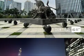 评论丨20头小熊去哪了？深交所不妨满足公众的知情权图片