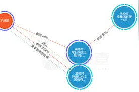 一字跌停！齐翔腾达控股股东涉嫌内幕交易被立案调查，或将追溯到5年前图片