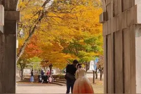 近34年来韩国首次诞生五胞胎：4名女婴1名男婴图片