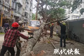 我为群众办实事丨徐州泉山：“去、复、增”三举措让湖滨老旧小区焕新颜图片