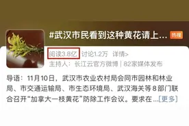 热搜第一，苏州也有！多地围剿“恶魔之花”，看到请立刻上报！图片