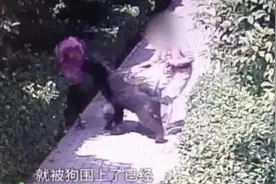 安阳“狗咬人”有了下文，狗证和警棍尚待说清楚图片