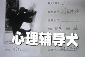 河南“狗咬老人”惹众怒 9期节目仍未解决气哭记者图片