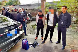 男子开奥迪A6多次盗窃被抓：自称宠物店生意不好 曾因盗窃被判刑图片