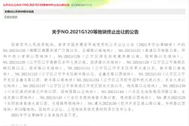 15幅地块终止出让！南京三批次集中地块减至46幅图片