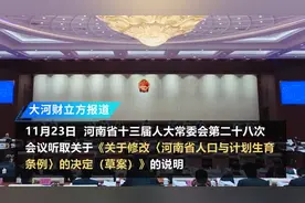 河南拟修改计生条例：娃满3岁前夫妻每年各10天育儿假视频封面