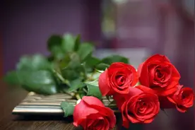 他从南征北战中走来图片