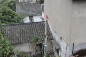 求收养！仙人柱长成5.5米“擎天柱”主人心急求助：如何过冬？图片