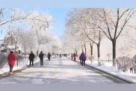 西丰县迎来今冬第一场雾凇美景图片