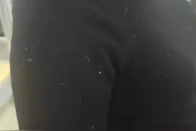 极目锐评｜加拿大鹅穿了半天满身鹅毛还“正常”，宣传不能“向天歌”图片