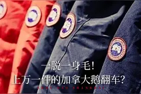 一脱一身毛！动辄上万的加拿大鹅翻车？号称终身保修却不受理图片
