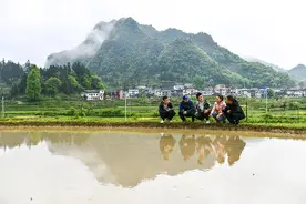玉米地遭水灾后的两则故事：背后是一个让人饱含热泪的“乡土中国”图片
