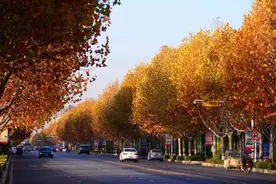 高中同学的一支舞图片