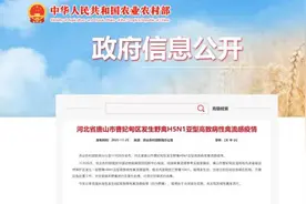 河北唐山市曹妃甸区发生野禽H5N1亚型高致病性禽流感疫情视频封面