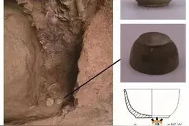 最早茶叶遗存出土，山东与茶还有这些故事图片