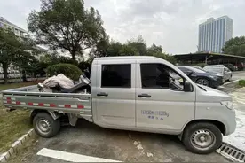 8条狗被毒死！杭州这对夫妻深夜疯狂偷狗，警方蹲守：别想逃图片