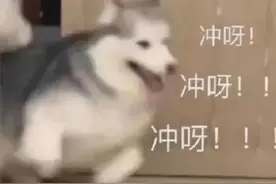 调好闹钟！今天下午3点，新一轮红包来袭！图片