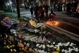 遛狗不拴绳违法，为啥还能如此嚣张？图片