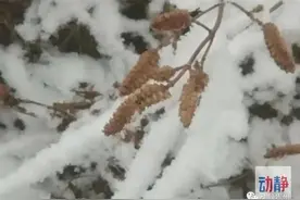 零下5℃，贵州此地冰天雪地！未来三天，冷空气继续来袭图片
