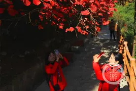 红叶节③丨 赏红叶哪里最佳？这13条游览线路推荐给你图片