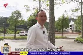 康康我的家乡——惠州市龙门县低冚村 昔日小山沟融合“红＋绿”发展革命老村焕新颜视频封面