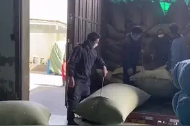 寒潮来袭，羽绒生产进入忙碌期 今年价格上涨原因为哪般？图片