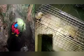 小狗掉50米深洞被救出，救援者称6年来靠村民倒饭菜喂活视频封面