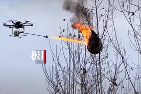 农妇被马蜂蜇咬数十下住院抢救，救援队用无人机喷火烧毁窝点图片