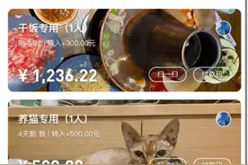 支付宝上线钱包分类功能 专款专用独立账单图片