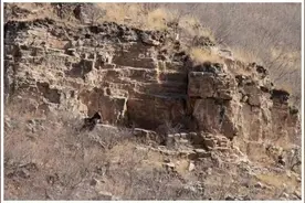 Qing听丨北京物种多样性调查：斑羚已到十三陵 华北豹何时回京？图片