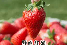 头茬草莓新鲜上市！快来看看价格如何？图片