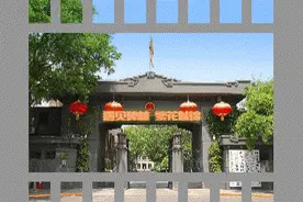 西安线上买菜平台一览图片