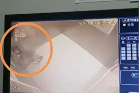 浙江男子反复踢打电梯按键面板，事后蒙头离开，警方介入处理图片